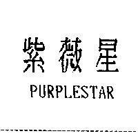 紫薇星 PURPLESTAR