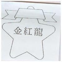 金紅龍及設計圖