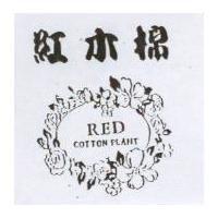 紅木棉及圖 RED COTTON PLANT