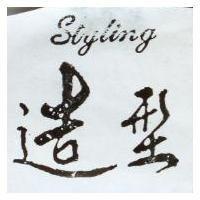 造型 Styling