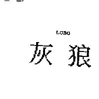 灰狼 LOBO