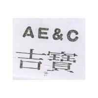 吉寶 AE&C