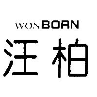 汪柏 WON BORN
