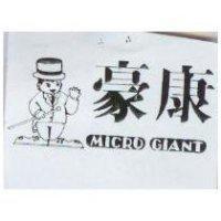 豪康及圖 MICRO GIANT