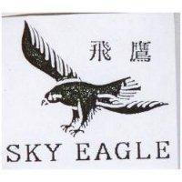 飛鷹 SKY EAGLE