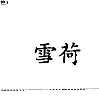 雪荷