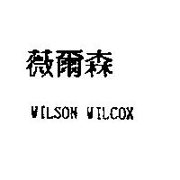 薇爾森 WILSON WILCOX