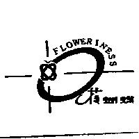 花蝴蝶 FLOWERINESS 及圖