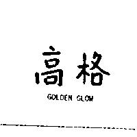 高格 GOLDEN GLOW