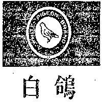 白鴿牌 WHITE PIGEON BRAND 