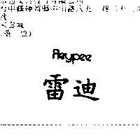 雷迪 REYPEE