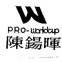 陳錫暉 PRO WORLD CUP 及圖
