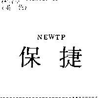 保捷 NEWTP