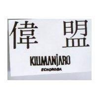 偉盟 KILIMANJARO ECHOROBA