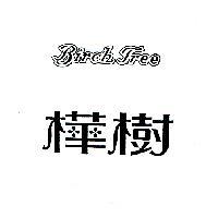 樺樹 BIRCH TREE