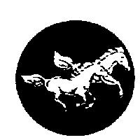 雙馬圖形