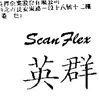 英群 ScanFlex