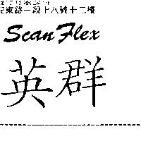 ScanFlex 英群