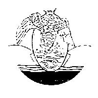 海仙子設計圖