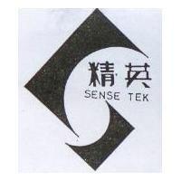 精英 SENSE TEK 及圖