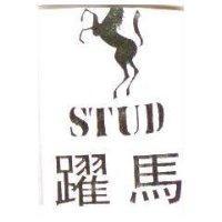 躍馬 STUD 及圖