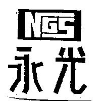 永光及圖 NGS