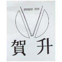 賀升 SURER CUE 及圖