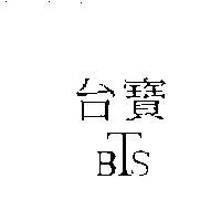 台寶 BTS