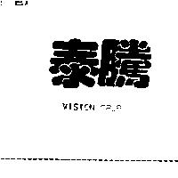 VISION GRUP 泰騰