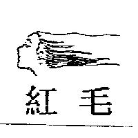 紅毛及圖