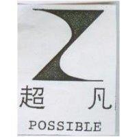 超凡 POSSIBLE 及圖