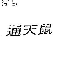 通天鼠