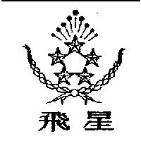 飛星及圖