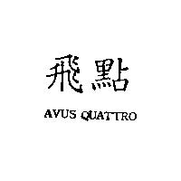飛點 AVUS QUATTRO