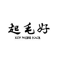 起毛好 KEY MORE HAIR