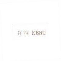 肯特 KENT