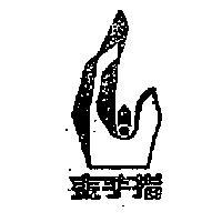 金手指及圖