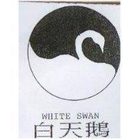 白天鵝及圖 WHITE SWAN