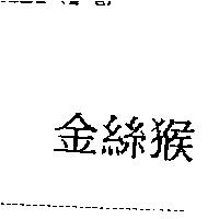 金絲猴