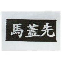 馬蓋先