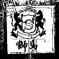 獅馬 SMARTDATA 及圖