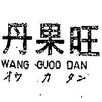 旺果丹 WANG GUOO DAN オウ カ タン 