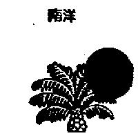 南洋及圖