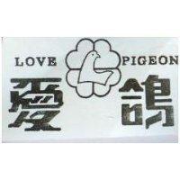 愛鴿及圖 LOVE PIGEON