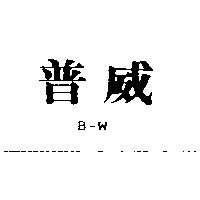 普威 B-W