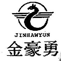 金豪勇 JINHAWYUN 及圖
