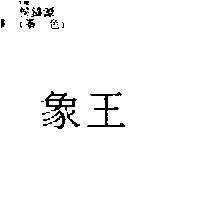 象王