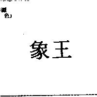 象王