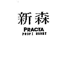 新森 PRACTA PROFI HOBBY