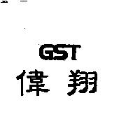 偉翔 GST